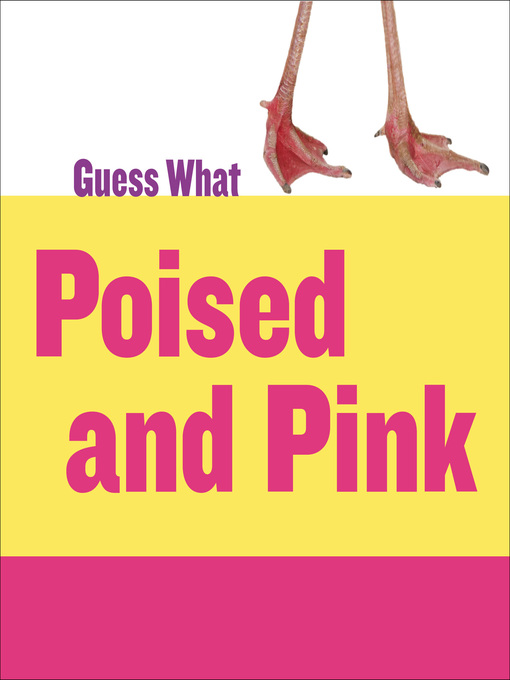 Kelly Calhoun创作的Poised and Pink: Flamingo作品的详细信息 - 可供借阅